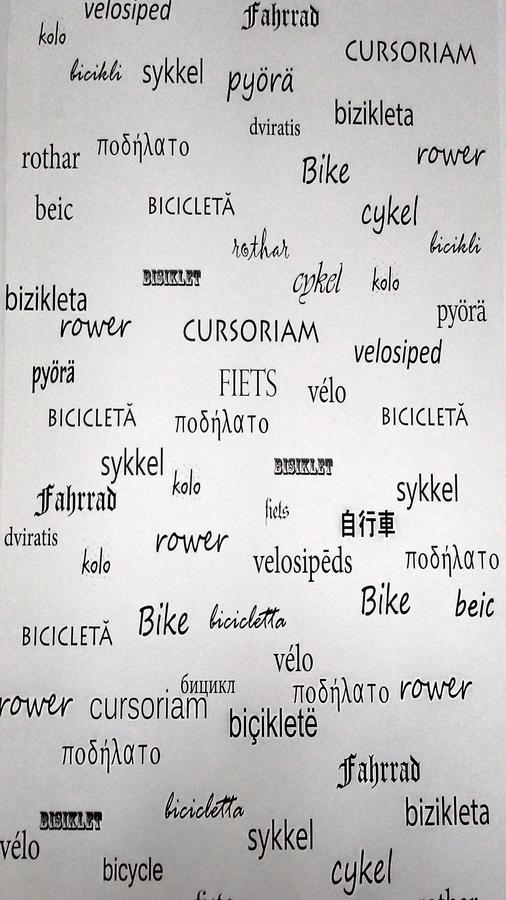 B Apartments - Bike Apartment Τιμισοάρα Εξωτερικό φωτογραφία